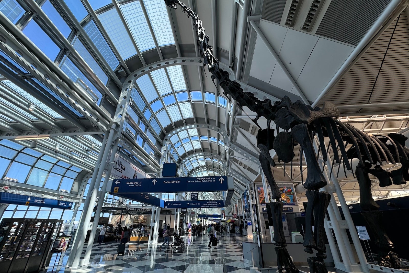 Chicago O'Hare to Reduce Flights