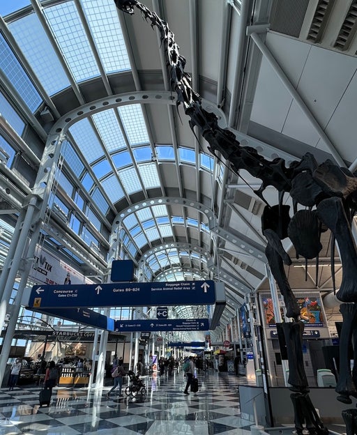 Chicago flight cuts coming: FAA orders airlines to reduce O'Hare schedules to cool turf war