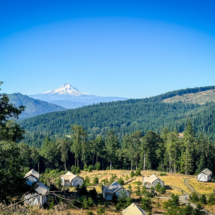 Deal alert: Points and miles travel deals for March 2026