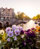 5 perks that make the Atmos Ascent Card worth more than its $95 annual fee