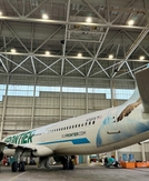 Frontier adds 4 routes, fills gap left by Spirit Airlines at several major airports