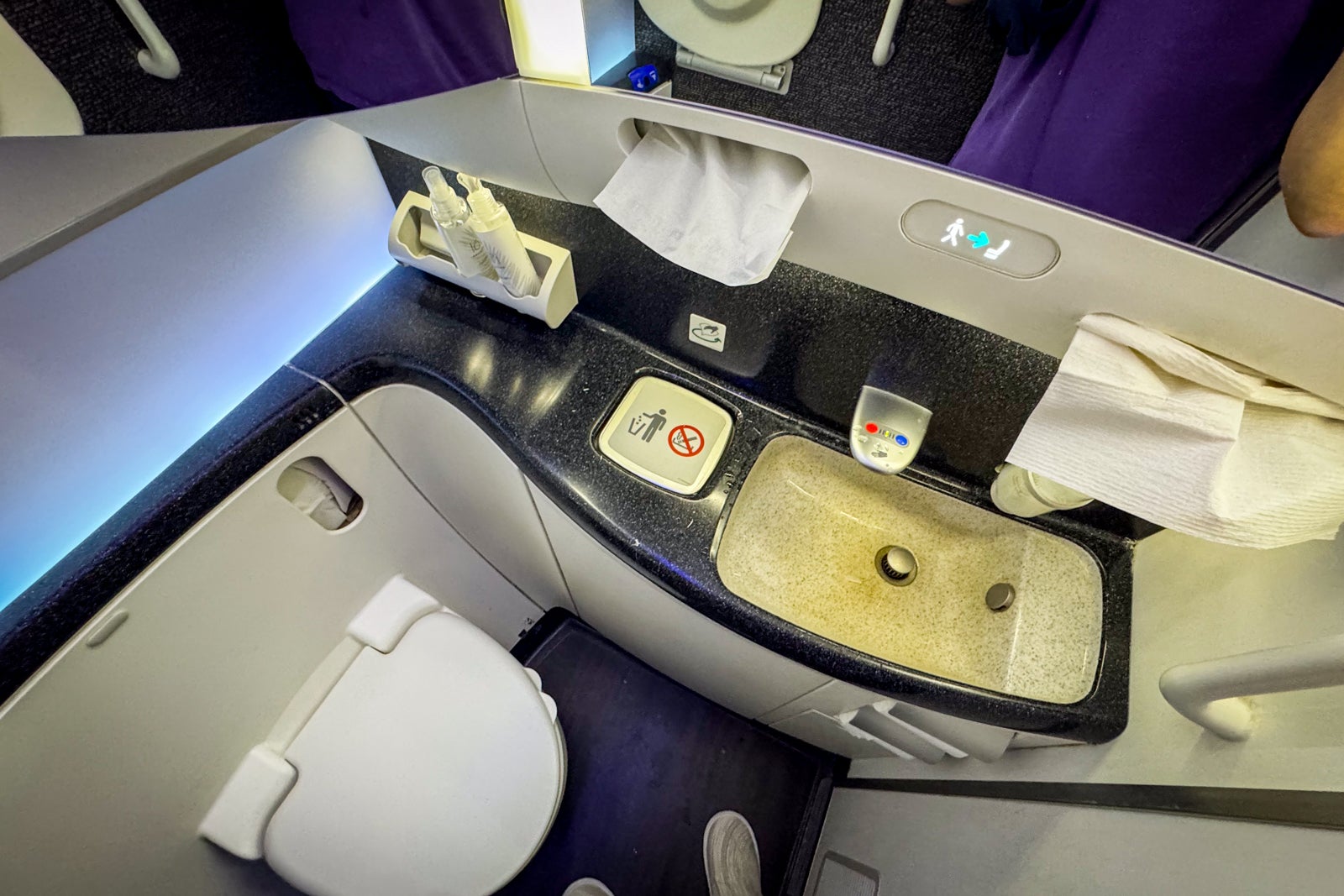 hawaiian airlines plane cabin bathroom