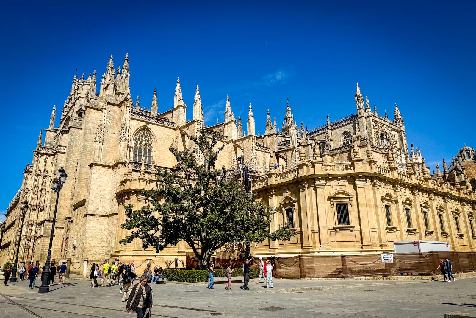 The Cathedral of Seville