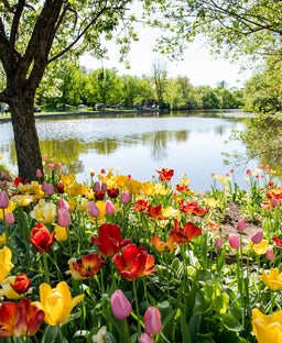 Skip the sakura crowds at these lesser-known flower festivals