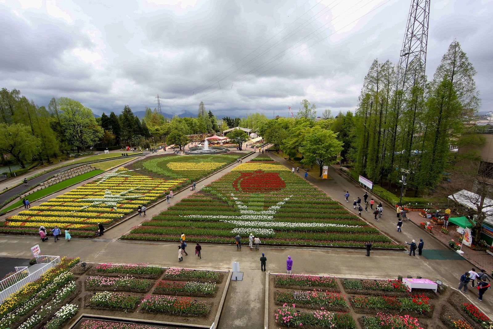 Tonami Tulip Fair, Japan