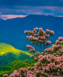 9 underrated spring travel destinations for 2026