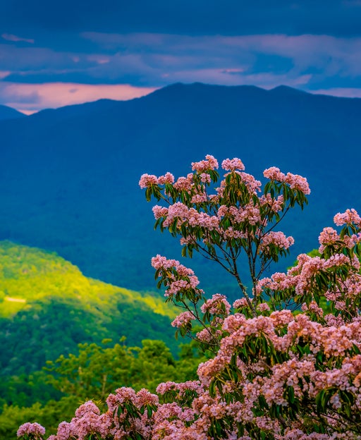 9 underrated spring travel destinations for 2026