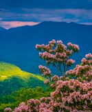 9 underrated spring travel destinations for 2026