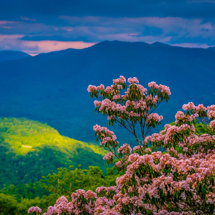 9 underrated spring travel destinations for 2026