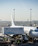 What to do in case your flight is canceled during the fuel crisis (and how to prepare)
