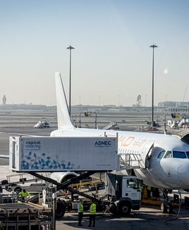 What to do in case your flight is canceled during the fuel crisis (and how to prepare)