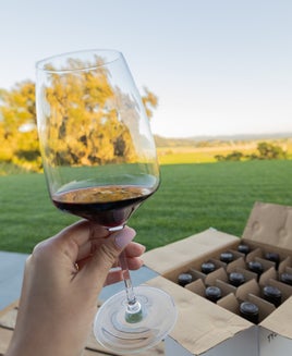 hand holding wine glass