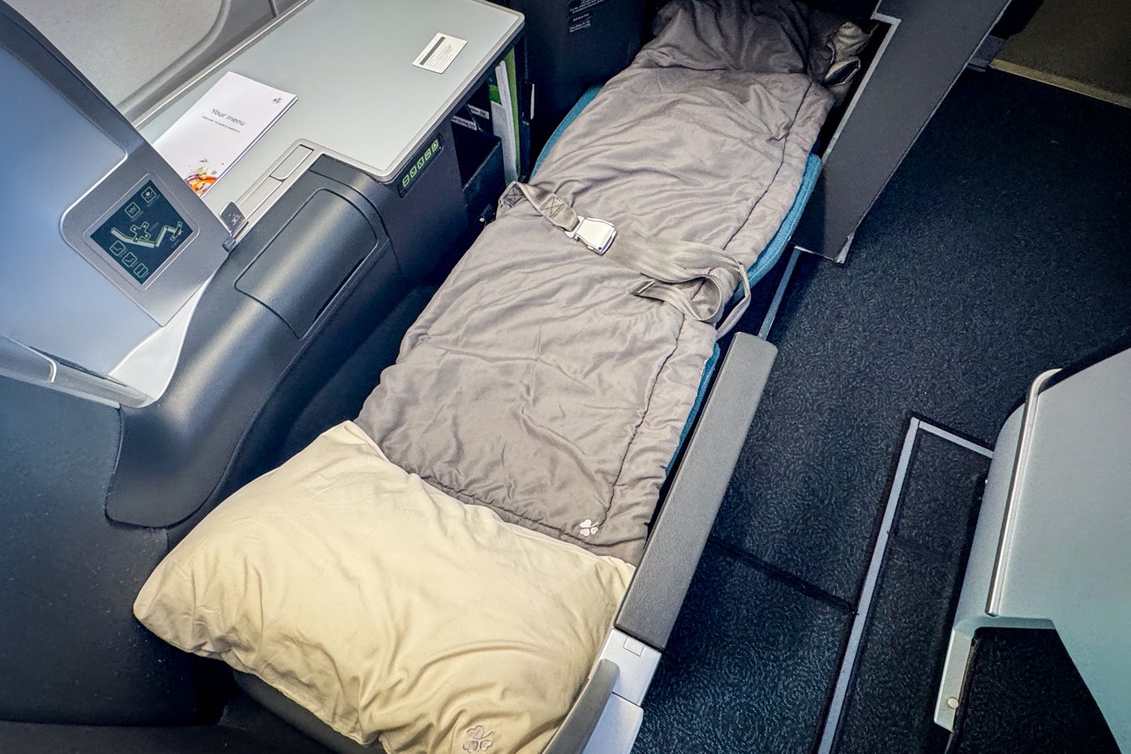 aer lingus seat business class