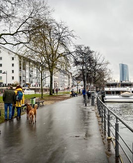 I stayed exclusively with Hyatt on my 10-day Germany trip for $0 — here's how I did it