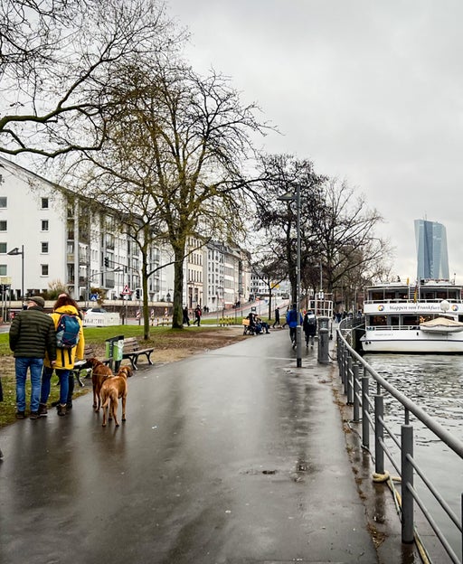 I stayed exclusively with Hyatt on my 10-day Germany trip for $0 — here's how I did it
