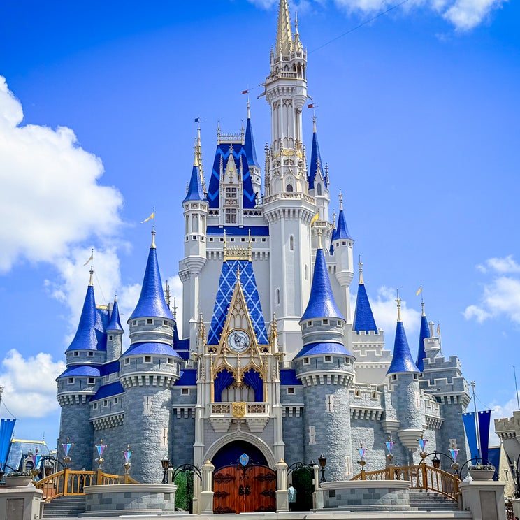 Staff success story: How $12 of trip insurance saved $400 at Disney World