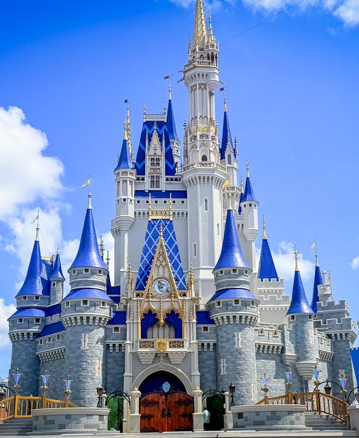 Staff success story: How $12 of trip insurance saved $400 at Disney World