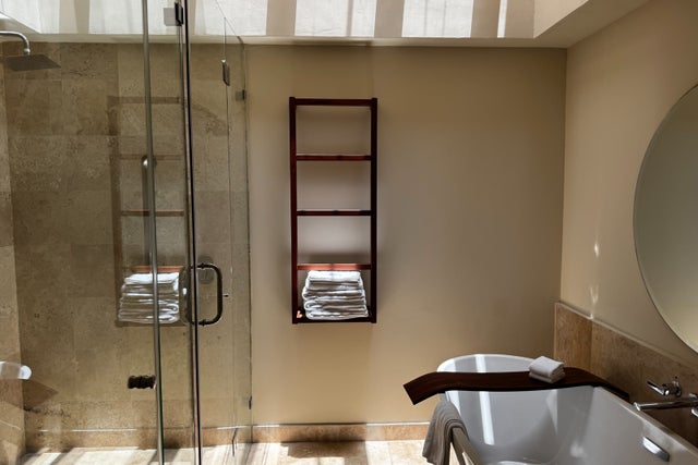 Bathroom with white soaking tub and wooden ladder