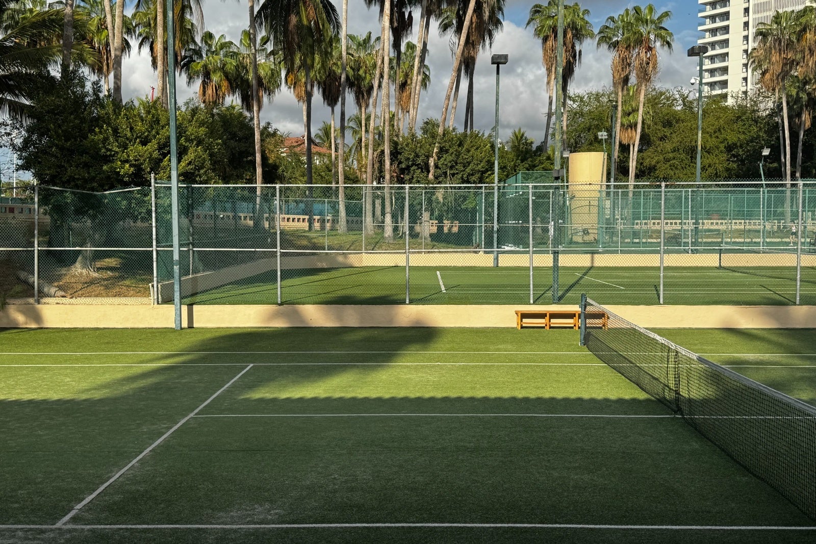 Green tennis courts with palm trees at Westin Playa Vallarta