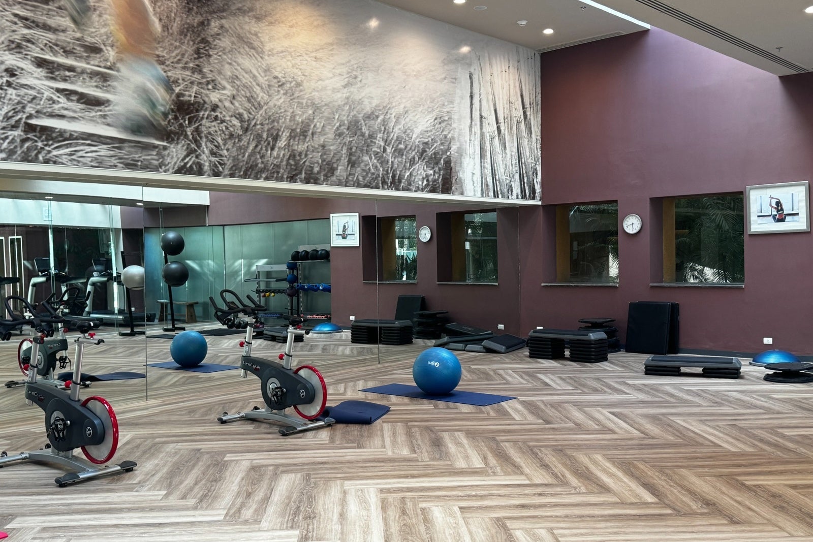 Spacious fitness room with hardwood floor and workout equipment
