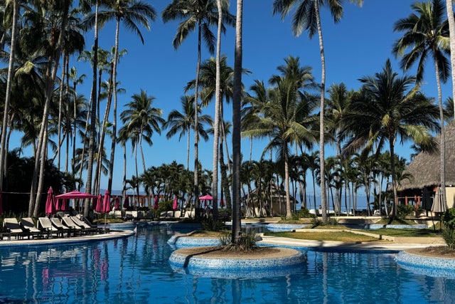 Palm trees in the adults-only pool at Westin Playa Vallarta