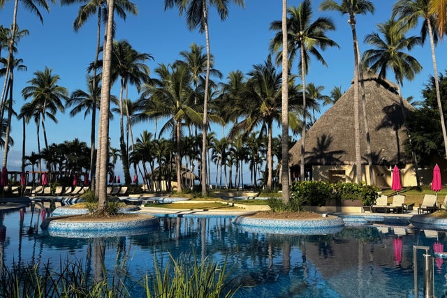 Adults-only pool with palm trees and hut