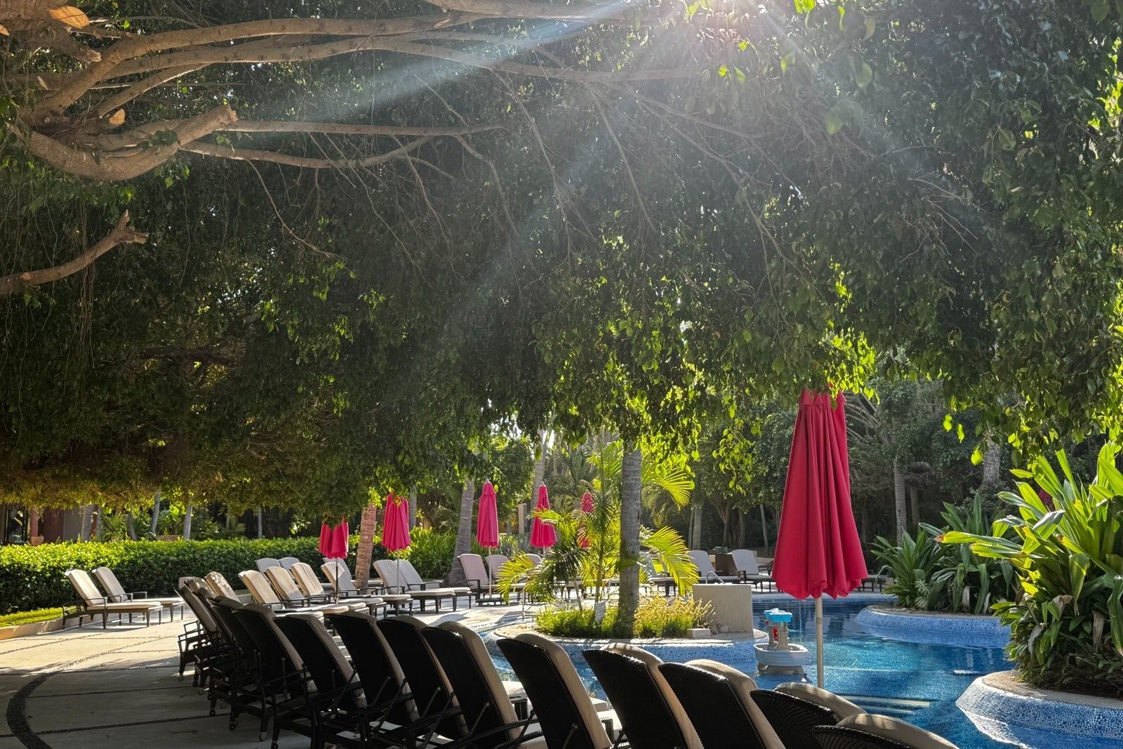 Sunlight coming through a canopy of trees with pink umbrella lined pool at Westin Playa Vallarta