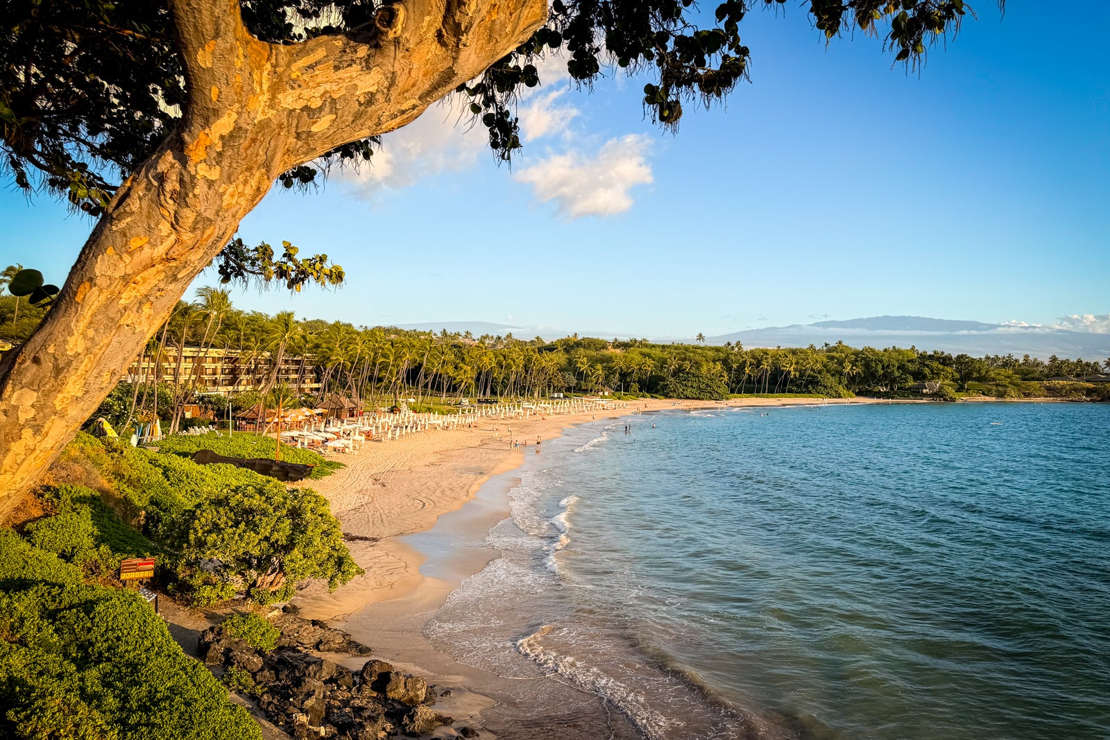 Mauna Kea Beach Hotel Nature, Outdoors, Scenery, Sea, Shoreline, Summer, Tree, Water, Coast