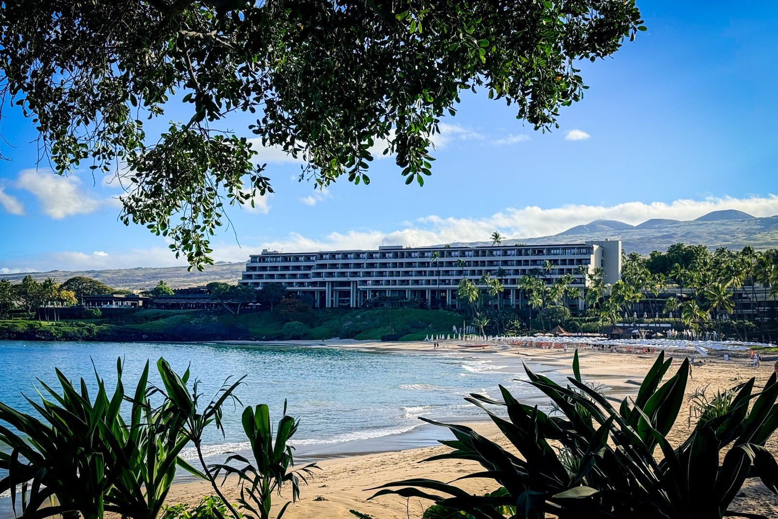 Mauna Kea Beach Hotel Herbal, Nature, Outdoors, Plant, Scenery, Summer, Vegetation, Water, Waterfront, Building