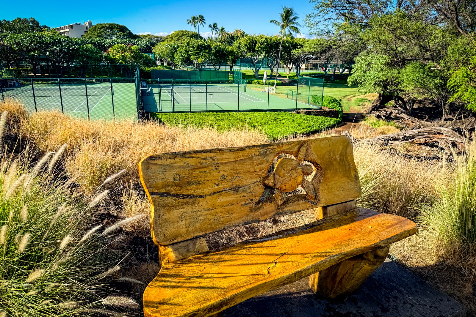 Mauna Kea Beach Hotel Furniture, Grass, Nature, Outdoors, Park, Turtle, Bench