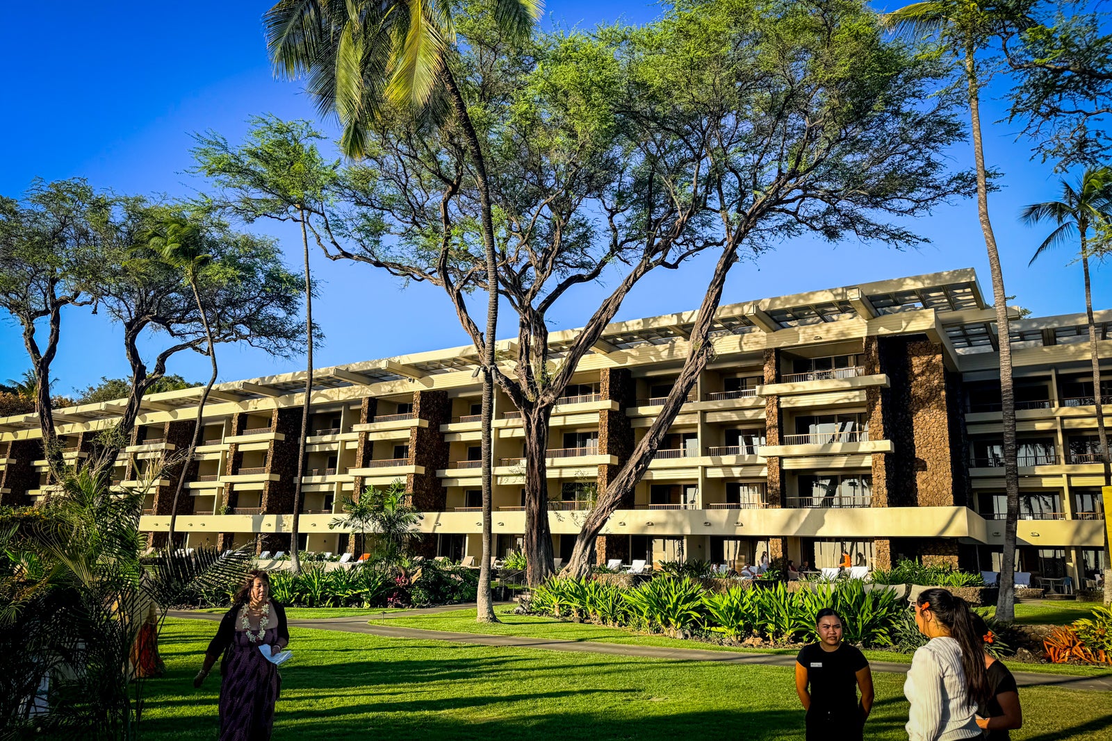 Mauna Kea Beach Hotel Campus, College, Grass, Lawn, Person, Plant, Tree, Building