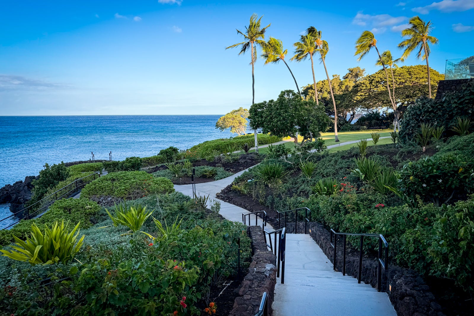 Mauna Kea Beach Hotel Nature, Outdoors, Palm Tree, Path, Scenery, Summer, Tropical, Water, Waterfront, Garden