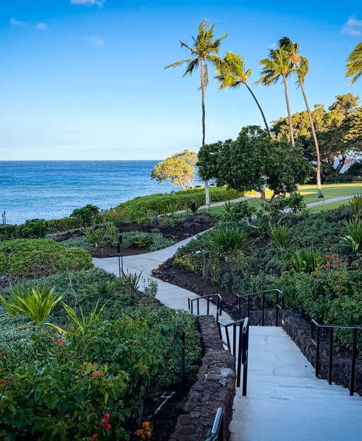 Mauna Kea Beach Hotel Nature, Outdoors, Palm Tree, Path, Scenery, Summer, Tropical, Water, Waterfront, Garden