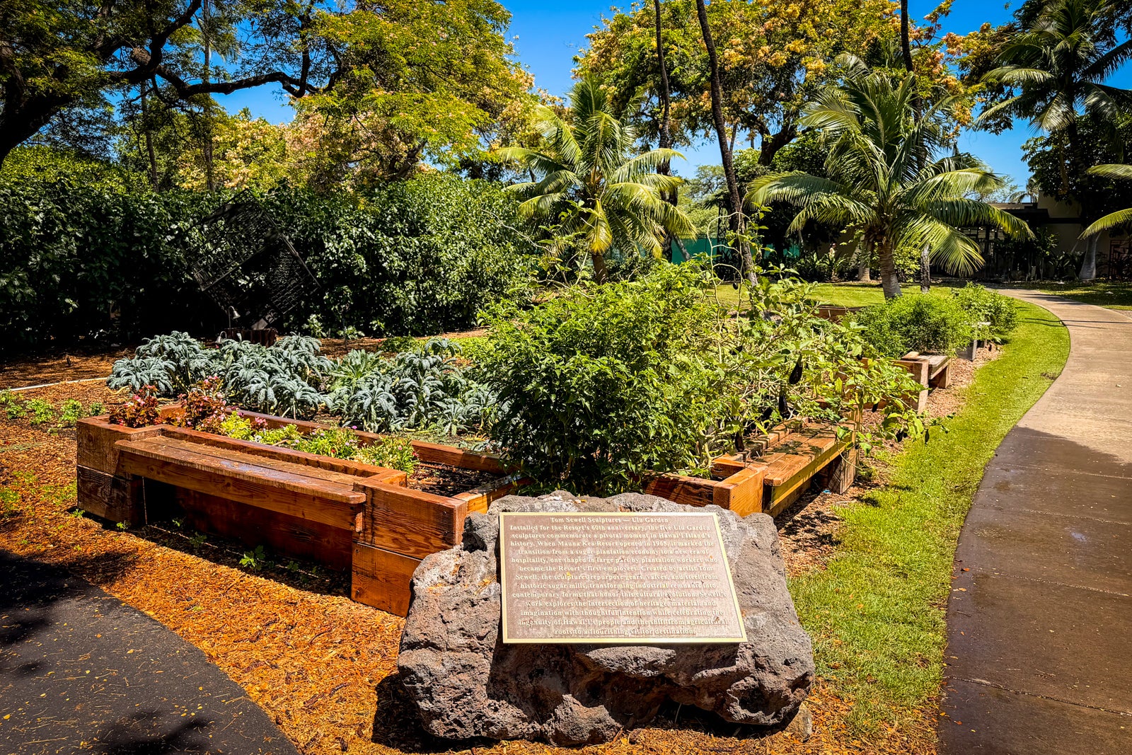 Mauna Kea Beach Hotel Grass, Nature, Outdoors, Park, Path, Summer, Tree, Vegetation, Walkway, Garden