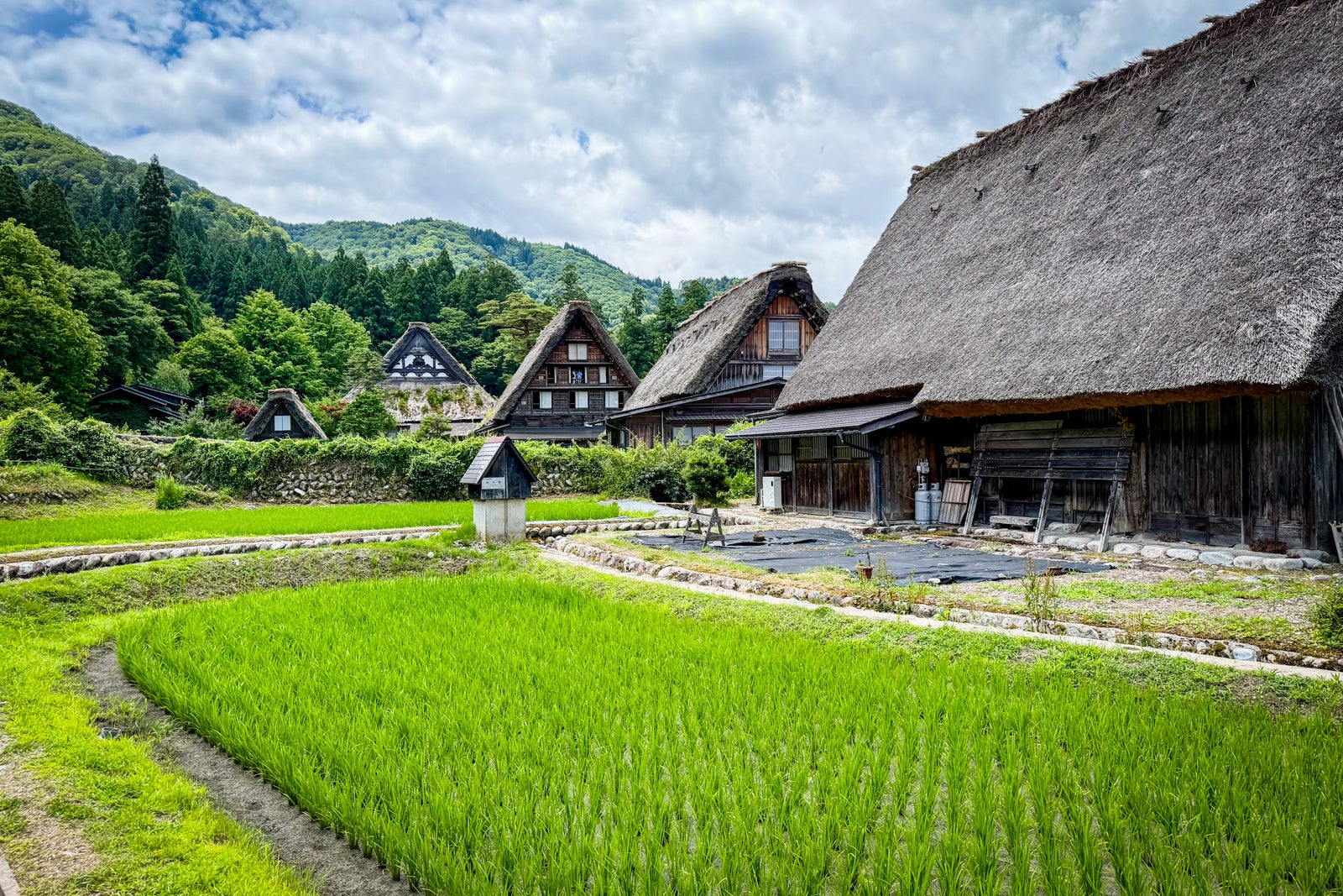 A bucolic scene of rice paddies and centuries-old structures in Shirakawa-go, Japan.