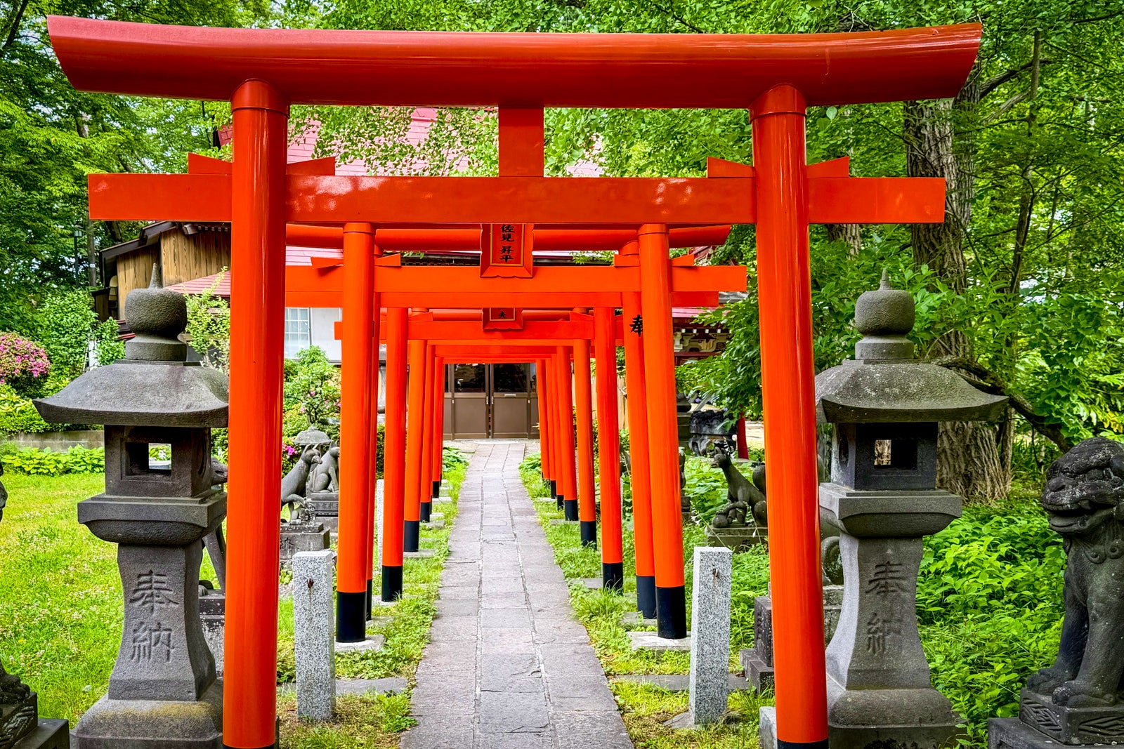 A corridor of red torii gates at the Hachiman Akita Shinto Shrine.