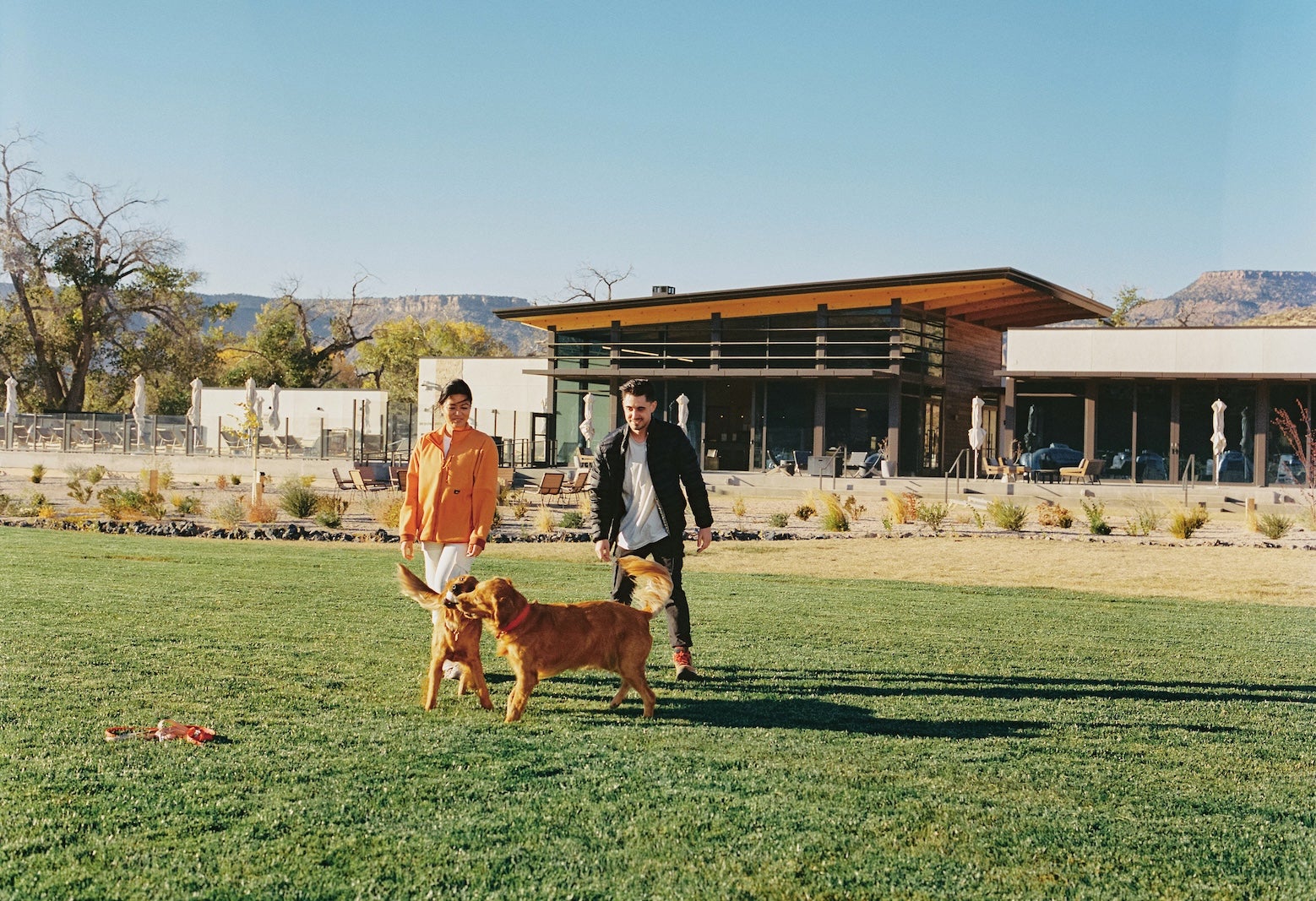 couple playing with dog
