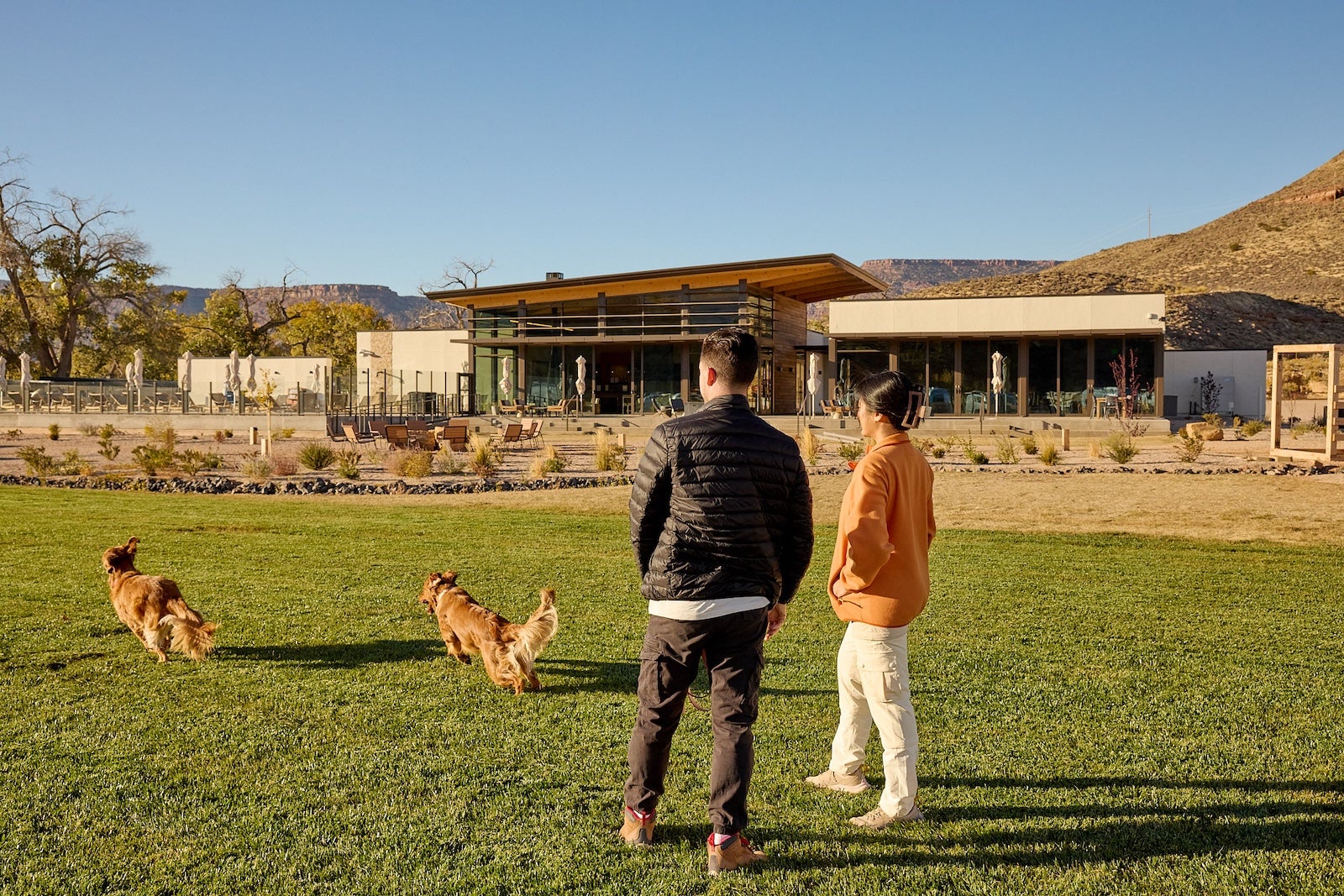 couple playing with dogs outside