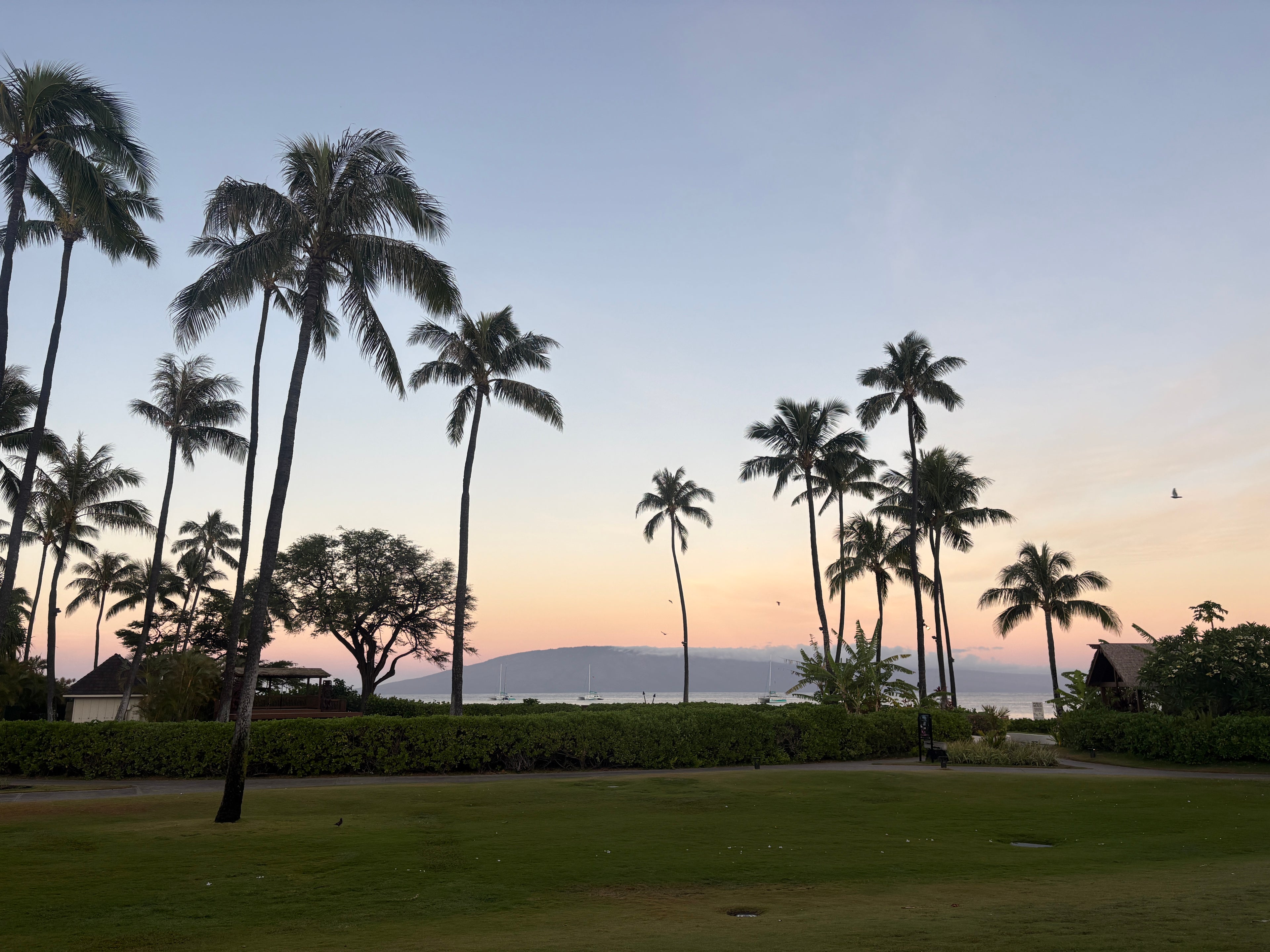 Ocean view from Sheraton Maui
