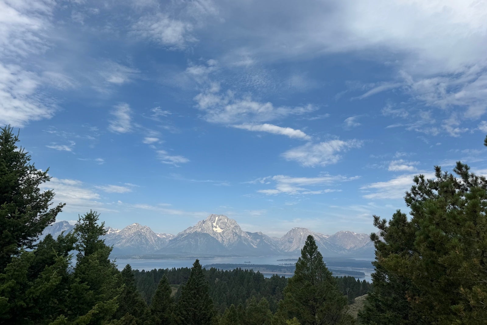 Sweeping view of trees in front of Tetons in Grand Teton National Park