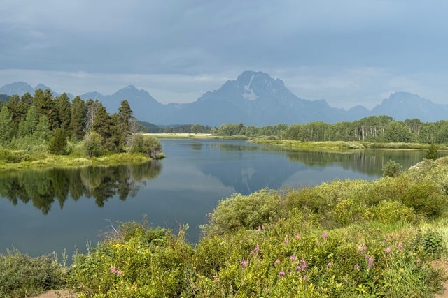 Lush meadows over a lake in the Tetons