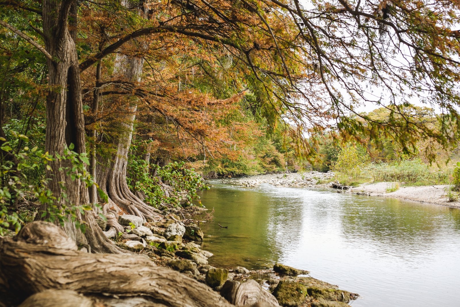Fall in Guadalupe River State Park.