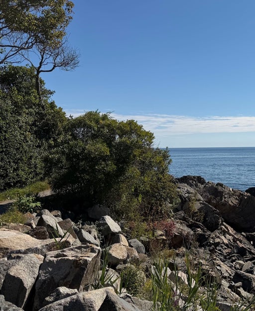 The perfect coastal New England road trip itinerary — and how to earn Hilton Honors points at every stop along the way