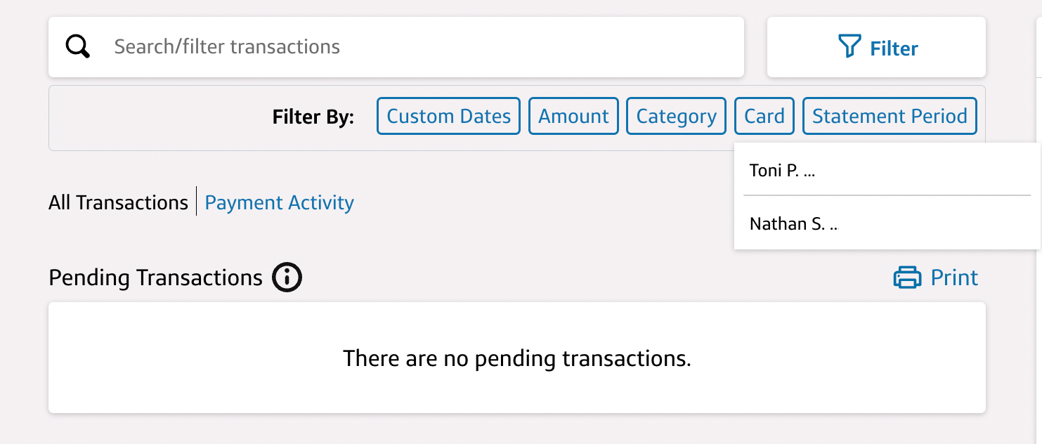 Capital One transaction page showing the filtering options