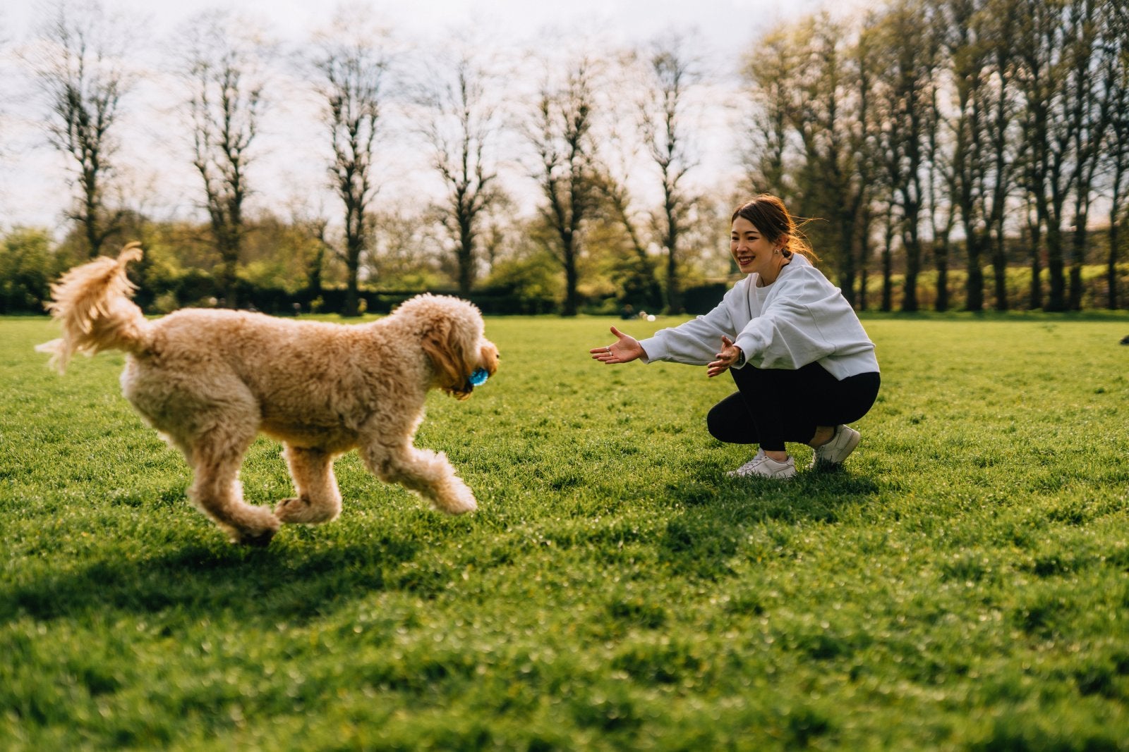 Young woman playing fetch with her dog on meadow