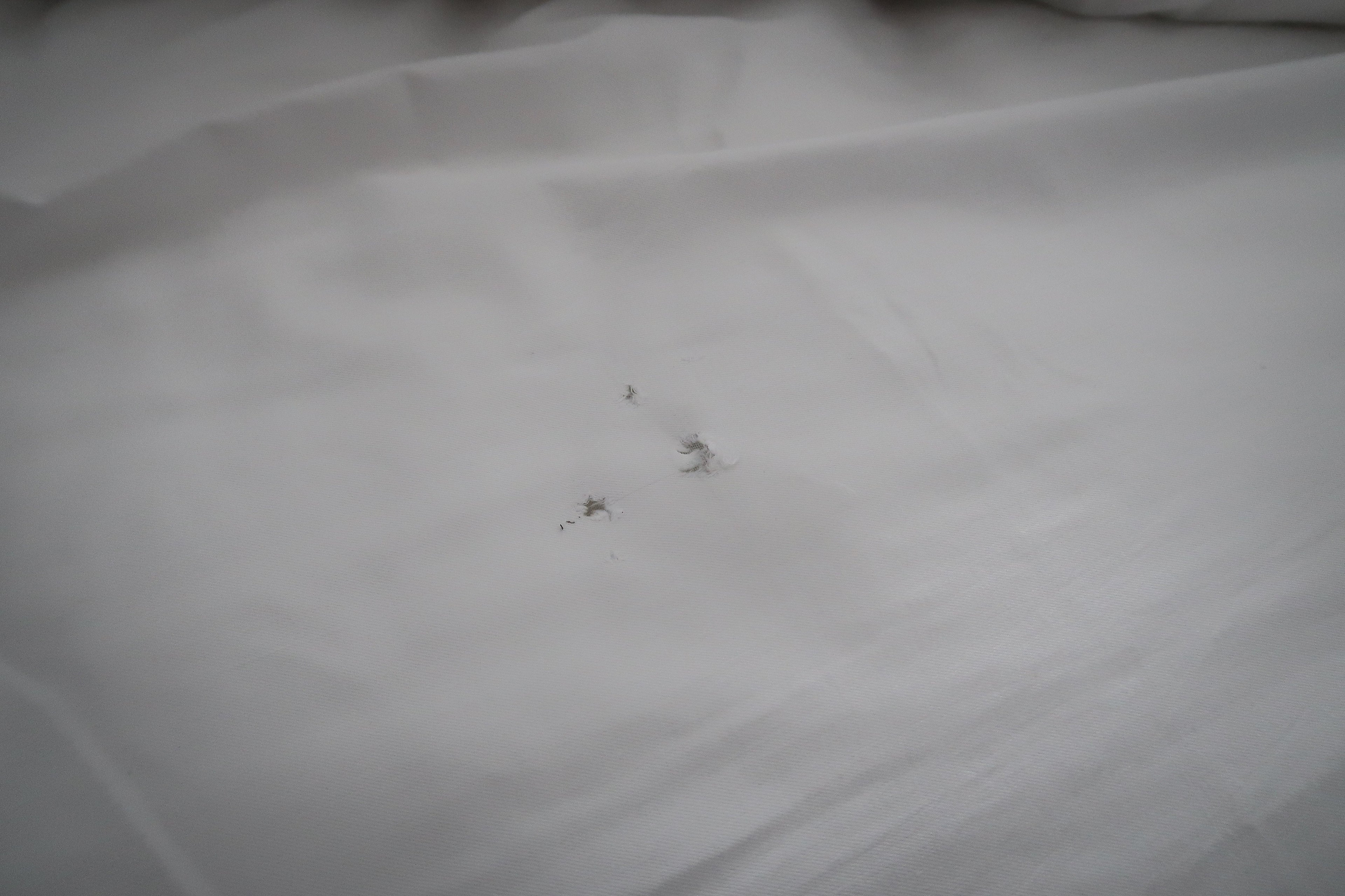 Cadillac Miami Sheets